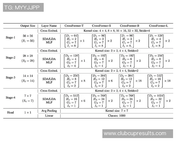 南京排球队灵活性分析与战术创新的深度探讨